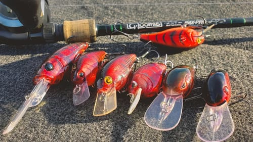 Crankbait Tricks For Spring Bass Fishing (Everything You Need To Know)