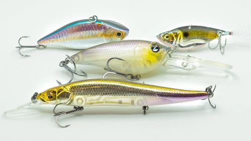 How To Catch Bass In Cold Water Without Slowing Down!