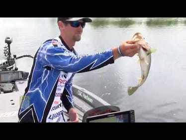 Dream Big - Luke Palmer