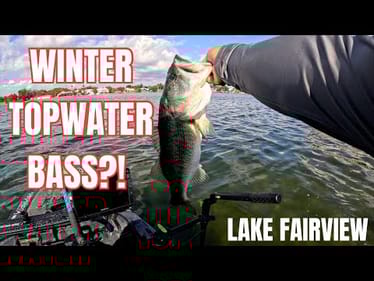 WINTER TOP WATER?! | BIG BASS | LAKE FAIRVIEW | FLORIDA FISHING #fishing #travel