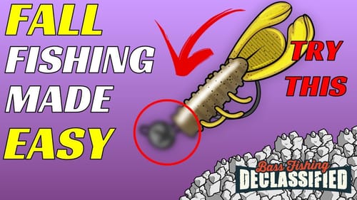 Fun and Easy Fall Fishing Technique To Catch Bass All Day Long
