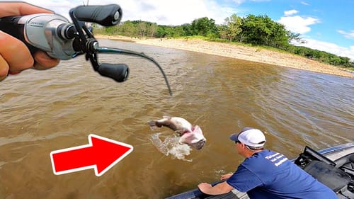 We Found $30,000 Fish in a MASSIVE LAKE?!?! (Tournament Pre-Fishing)