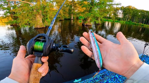 Most Fisherman Hate This || Fish Exploding On Topwater From The Grass