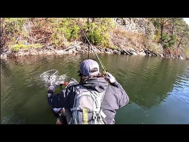 I HOPE I CAN FIND THESE FISH TOURNAMENT DAY!!