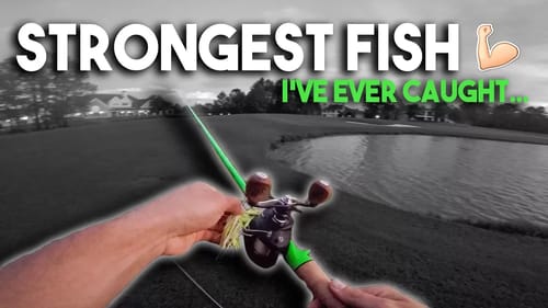STRONGEST Bass I've Ever Caught !