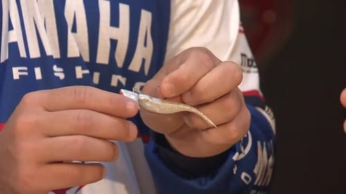 Skylar Hamilton's favorite winter 'drop baits'