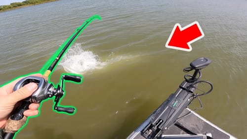 Giant Fish Takes off with My Swimbait