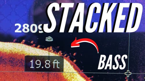 When to STOP Graphing and START Fishing! (What BASS Look Like on SIDE & DOWN Imaging)