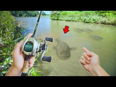 Fishing a Secret Lake LOADED W/ MONSTER Bass! (Bank Fishing)