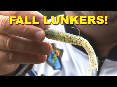 Fall Tube Fishing Secrets You Need to Try! | Bass Fishing