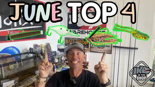 Top 4 Must-Have June Baits for Monster Catches!!!
