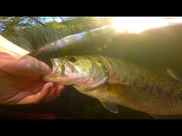 Last Minute Clutch Catch!