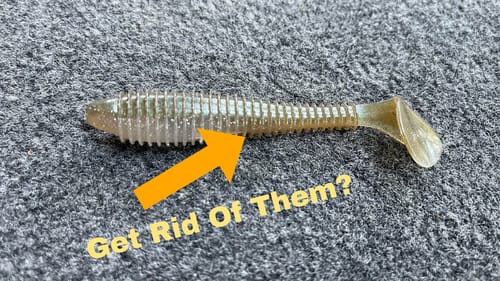 Bass Have Evolved To Stop Biting Ribbed Swimbaits…