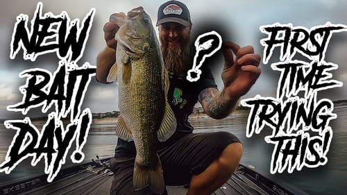 New Bait Day! Never Thrown This Lure Before But The Fish Love It!