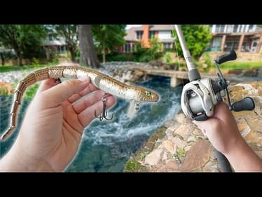 Giant Lures VS Tiny Urban Ponds!