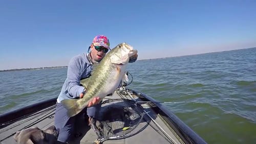 11pounder graph to catch