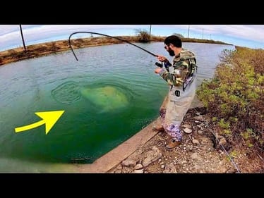 The BIGGEST SPILLWAY MONSTER I've EVER SEEN!!! (INSANE)