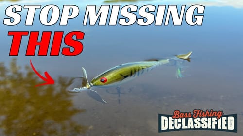 You Need This Topwater in Your Tackle Box NOW!