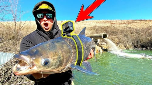 GoPro Strapped to DANGEROUS Fish!! (Underwater Footage!)