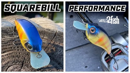 Why Squarebill Crankbaits Excel Around Cover