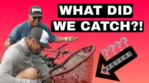 WHAT FISH DID WE CATCH!?