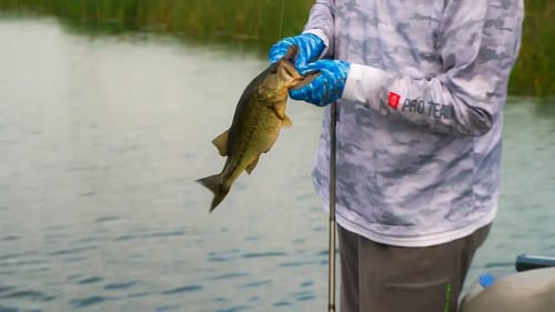 REEL IN Bass Fishing SUCCESS with Intuition & Precision - Mark Davis