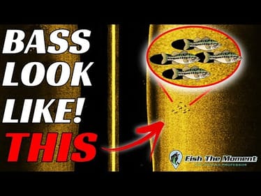 The Missing Link To Your Success With Side Imaging! | Fish Finder SideScan Instruction