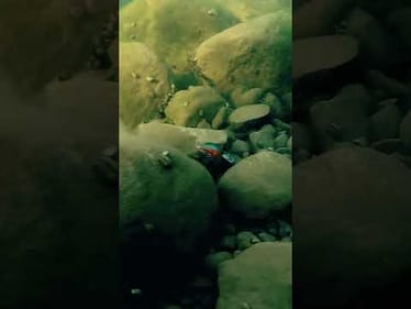 Colder temps are coming, pack your plug box! 🥶🔥 Featured: @SPROUSAOfficial  RkCrawler MD 55