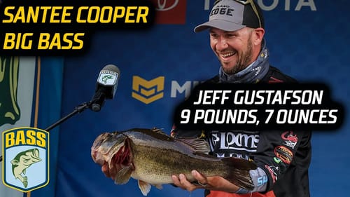Jeff Gustafson weighs a 9-7 Big Bass on Day 2 at Santee Cooper