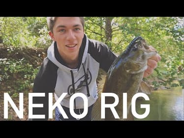 Neko Rig --  How to Rig It and Fish It + River Smallmouth