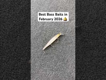 BEST February Bass Baits! (2026)