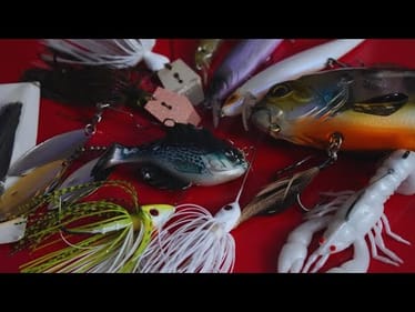 Top 5 Spring Lure for Bass Fishing In 2025