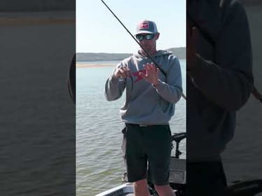 WHY you should make MULTIPLE Cast! (Early Fall Bass Fishing)