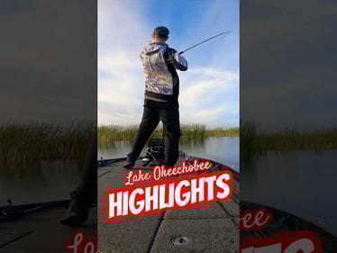 HIGHLIGHTS‼️ MLF Toyota Series Lake Okeechobee #shorts #bassfishing #flipping