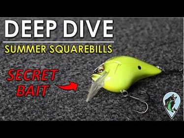 Randy’s Secret Squarebill Techniques To Load the Boat in the Summer