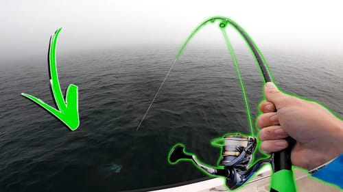 Fishing The Open Ocean In Thick FOG — (SURPRISE CATCH)