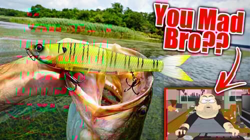 My Best Day EVER Summer Swimbait Fishing!! (My Haters are Crying)