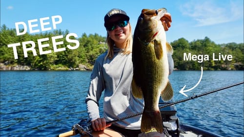 I would have NEVER found these fish...