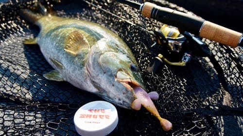 CUSTOM Goby for BIG Smallmouth!!