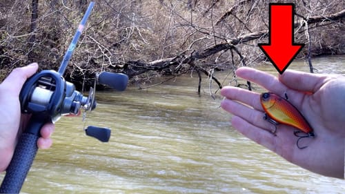 Spring Bass Fishing With Subscribers FAVORITE Baits!