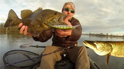 Jerkbait Fall Fishing