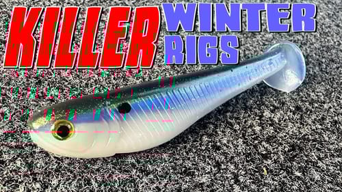 KILLER Winter SWIMBAIT Rigs