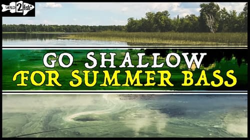 Don’t Overlook Shallow Hot Water for Summer Bass