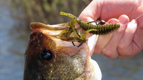 Thin Hooks vs Thick Hooks | Bass Fishing
