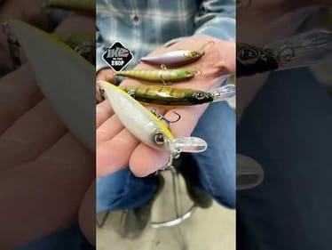 PICK the RIGHT SIZE! 🎯 Suspending Jerkbait!