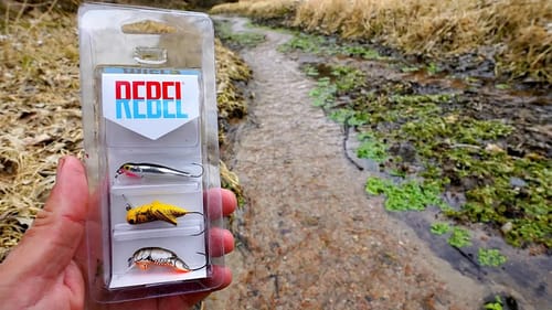 Testing $1 Walmart Micro Fishing Lures in a TINY Creek!!! (IT WORKED!)
