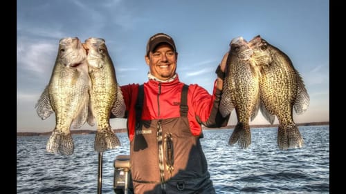 Fishing for BIG Crappie on Brush Piles!