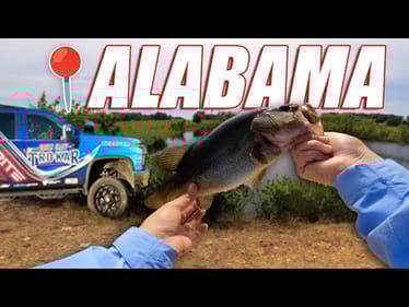 Pond Hopping in the BATTLE WAGON (ALABAMA STYLE)