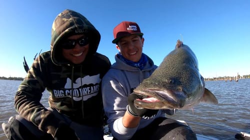 97cm Murray Cod on the Crankbait! #BigCodDreams Episode 10