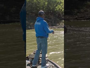 SLOW DOWN in the FALL? 🤔 (Early Fall Bass Fishing)